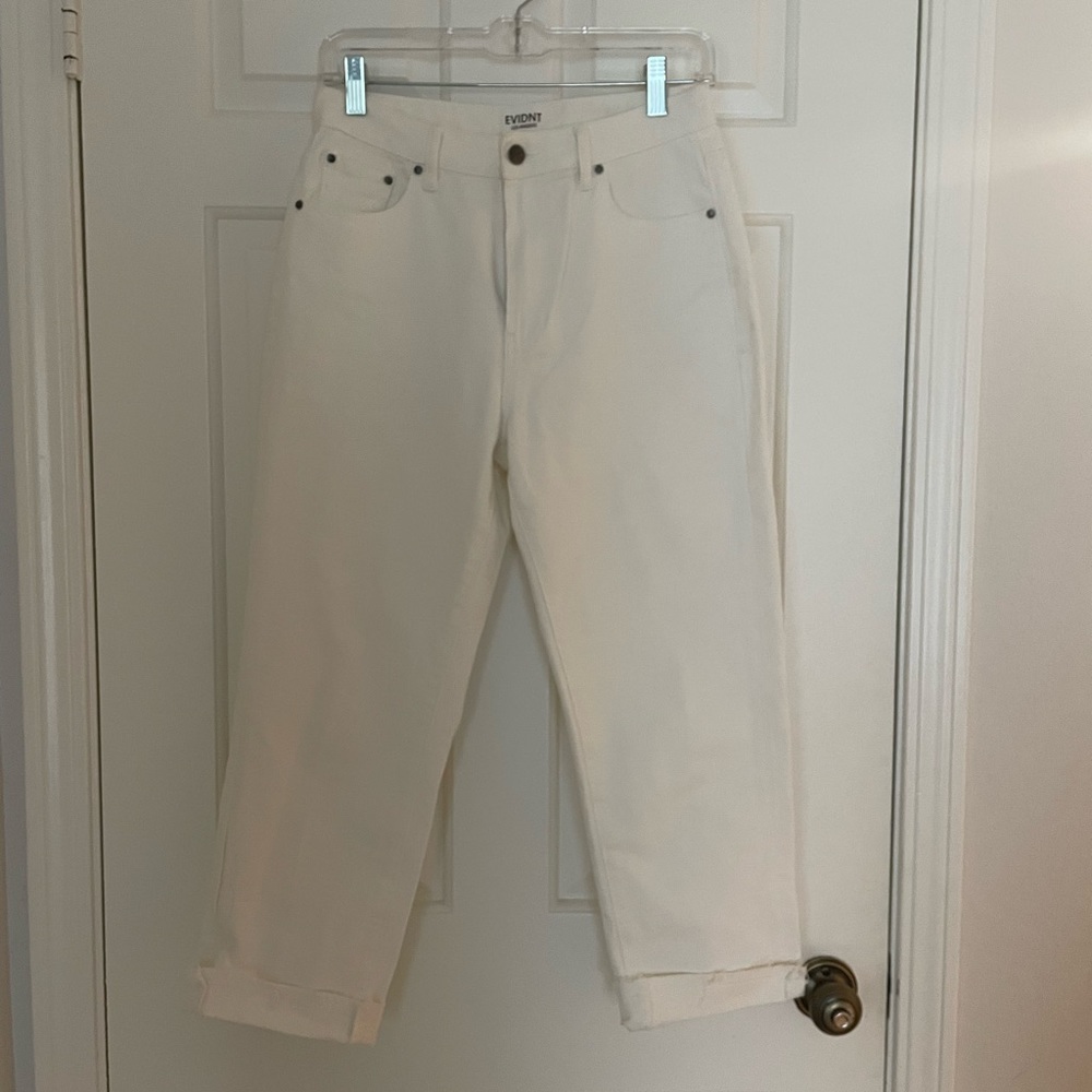 Evidnt Essen Relaxed Wide Leg Pants 27